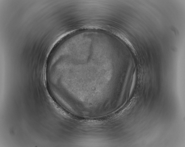 X0000112770984200909101547