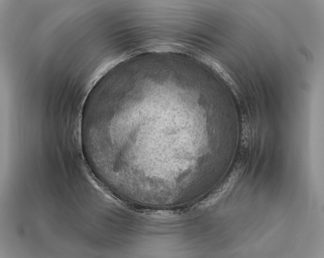 X0000112770986200909101547