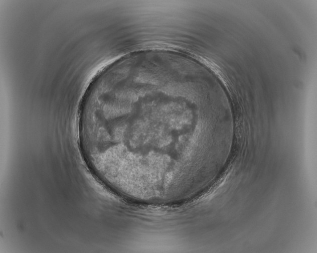 X0000112770987200909101547