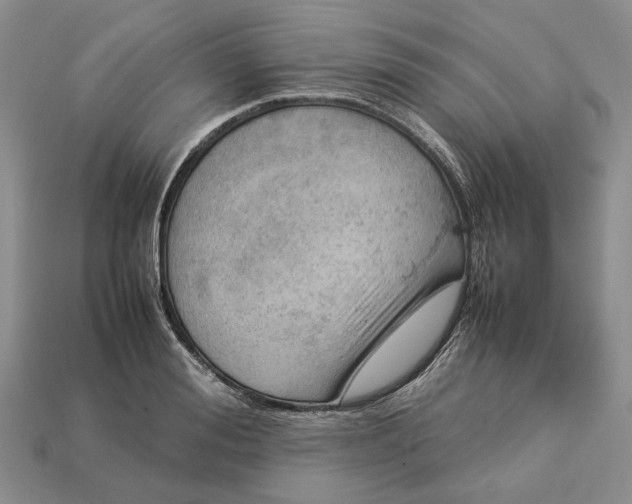 X0000112770988200909101547