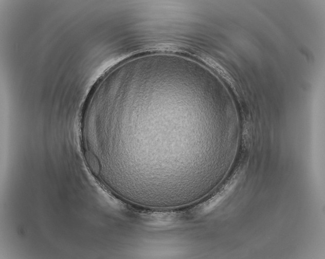 X0000112770989200909101547