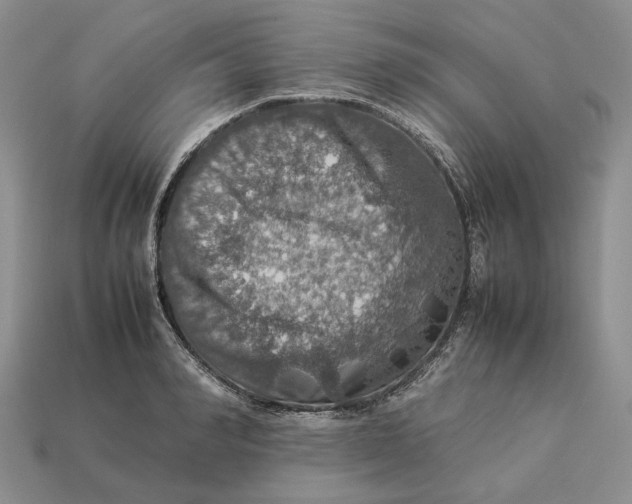 X0000112770990200909101547