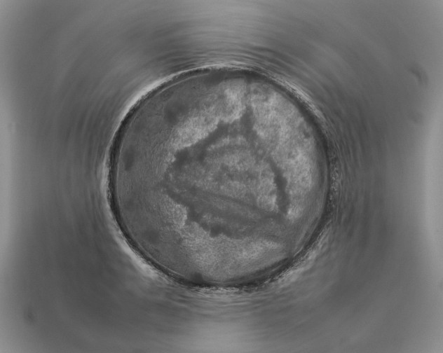 X0000112770991200909101547