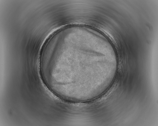 X0000112770992200909101547