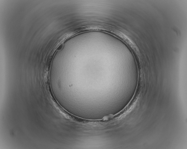 X0000112770993200909101547