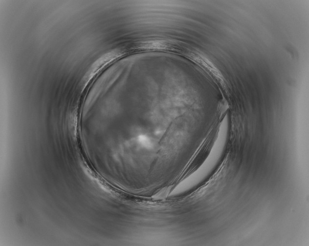 X0000112770994200909101547