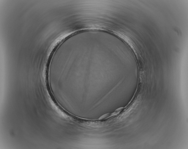 X0000112770995200909101547