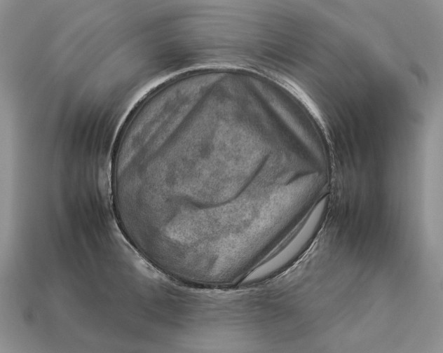 X0000112770996200909101547