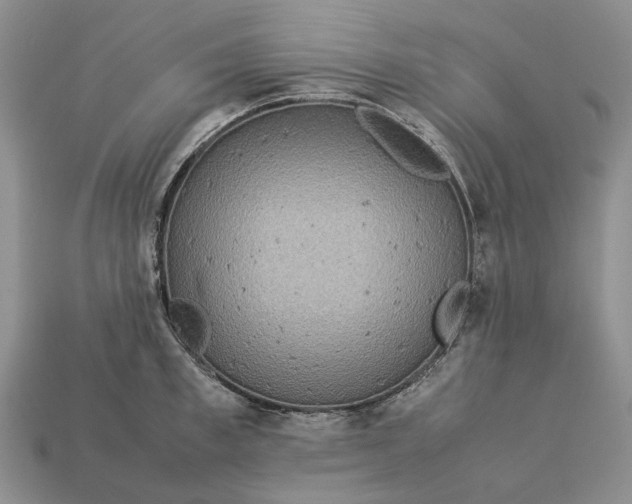 X0000112770997200909101547