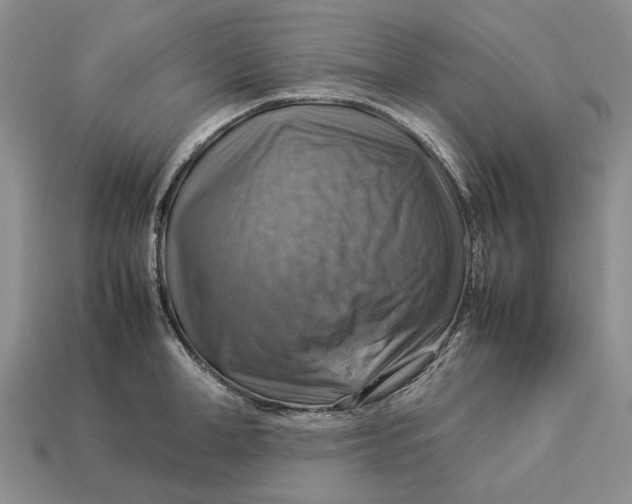 X0000112770998200909101547