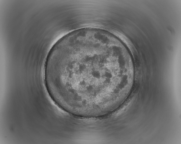 X0000112770999200909101547