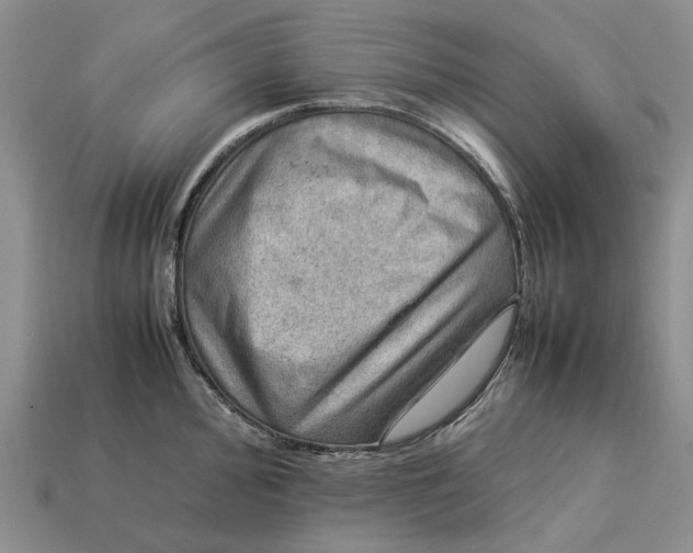 X0000112771000200909101547