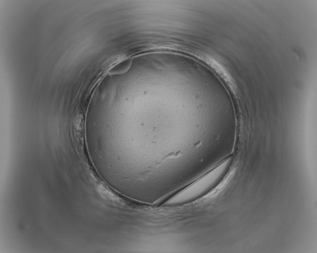 X0000112771001200909101547