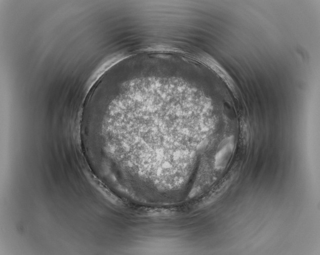 X0000112771002200909101547