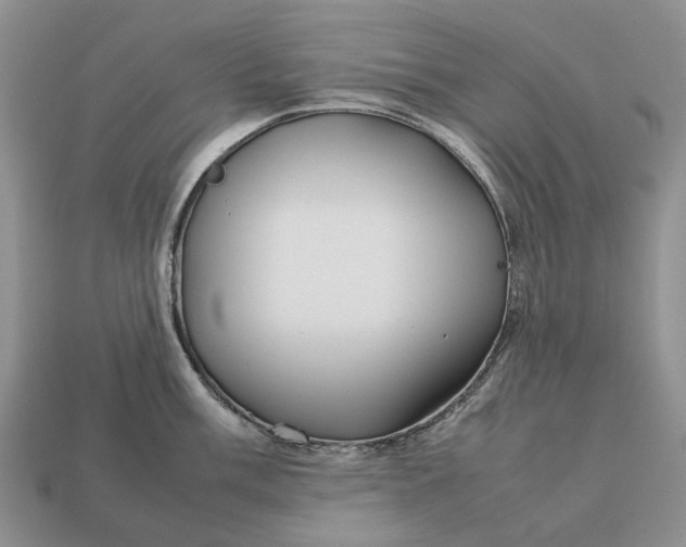 X0000112771003200909101547