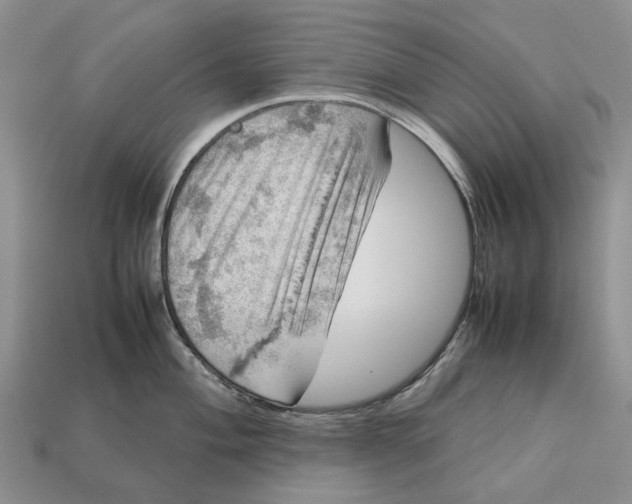 X0000112771004200909101547