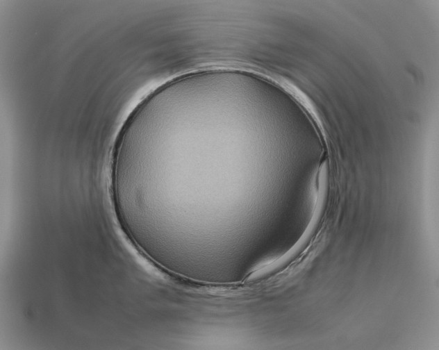 X0000112771005200909101547