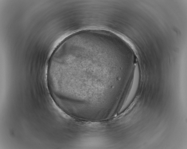 X0000112771006200909101547