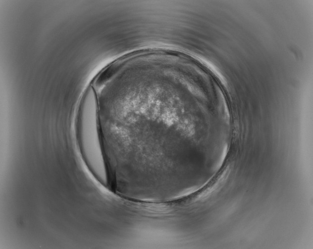 X0000112771007200909101547