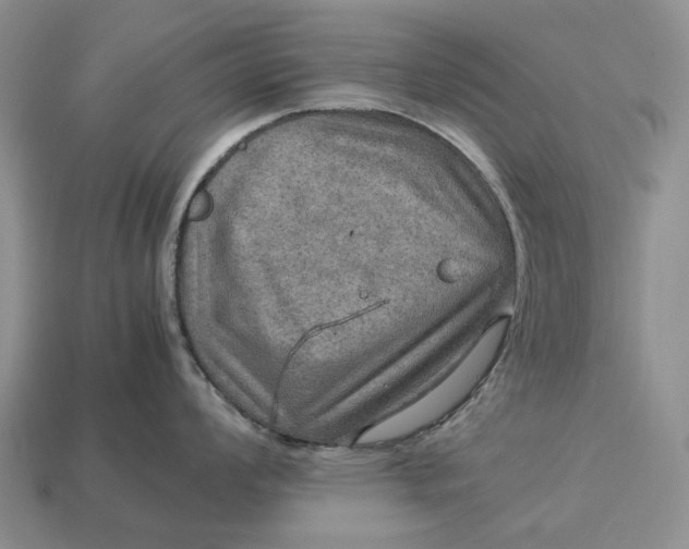 X0000112771008200909101547