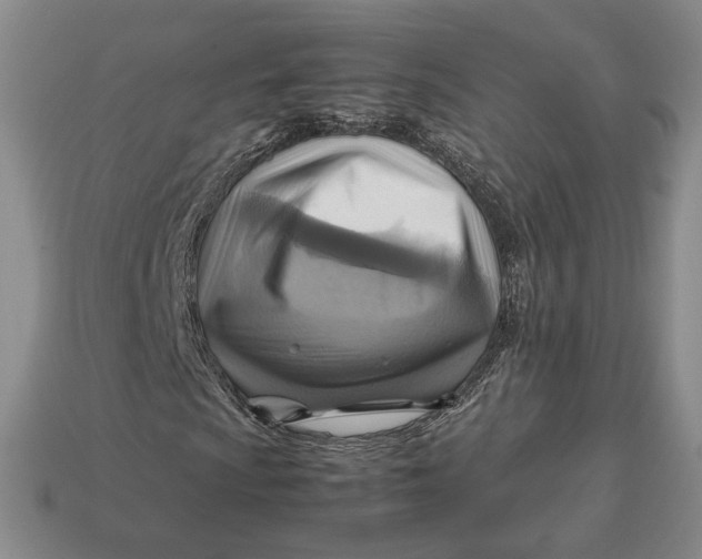 X0000112771009200909101546