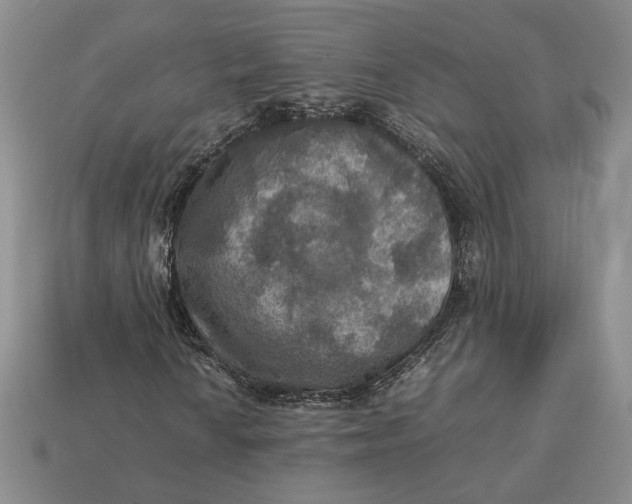 X0000112771010200909101546