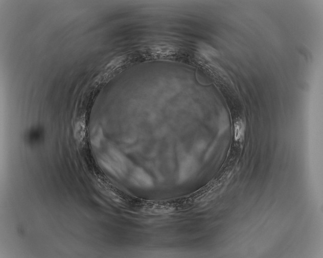 X0000112771011200909101546