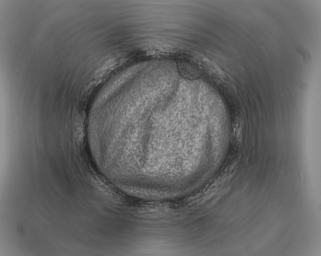 X0000112771012200909101546