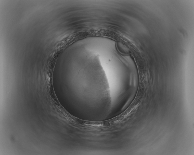 X0000112771013200909101546