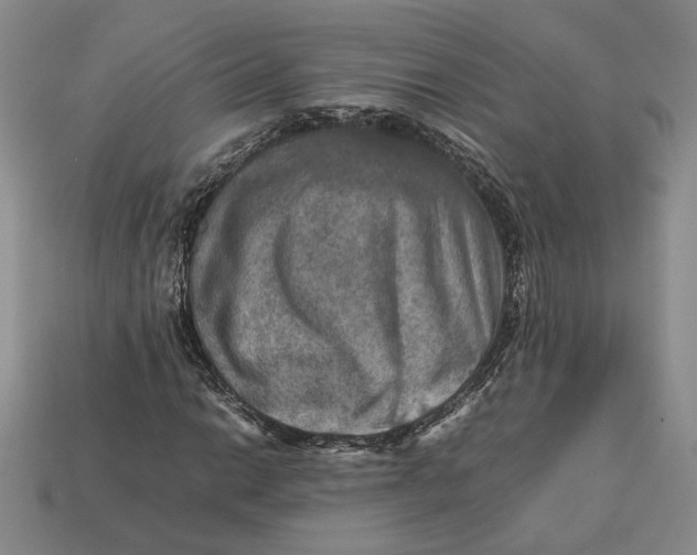 X0000112771014200909101546