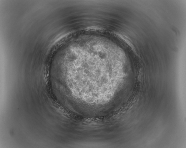 X0000112771015200909101546