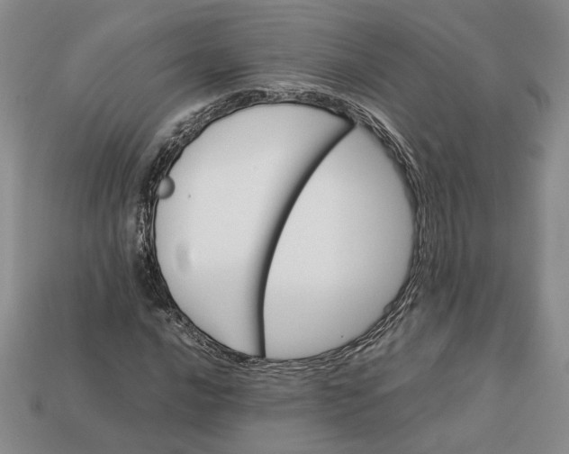 X0000112771016200909101546