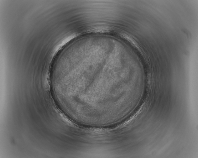 X0000112771018200909101546