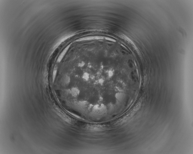 X0000112771019200909101546