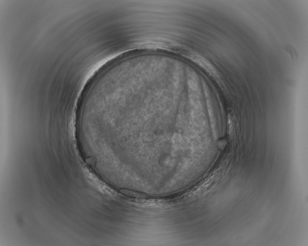 X0000112771020200909101546