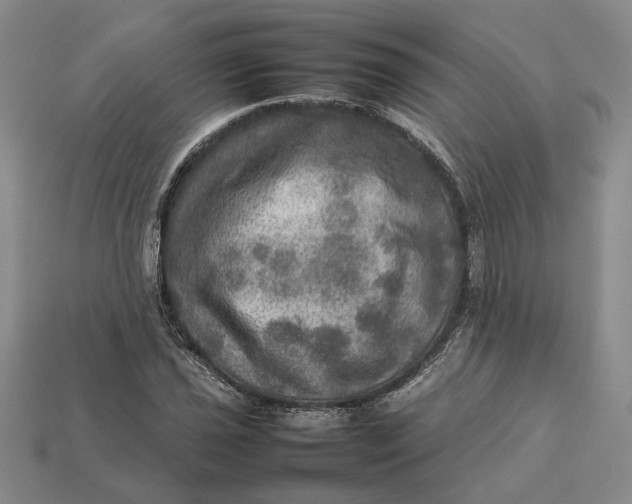 X0000112771021200909101546