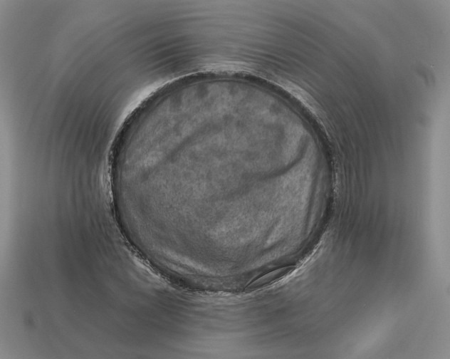 X0000112771022200909101546