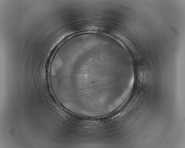 X0000112771023200909101546