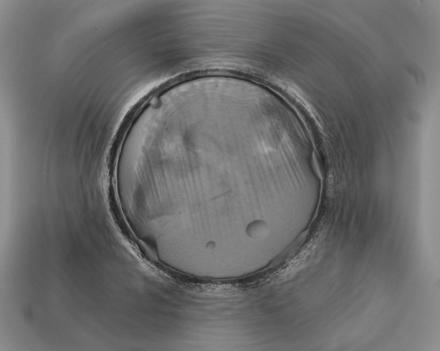 X0000112771024200909101546