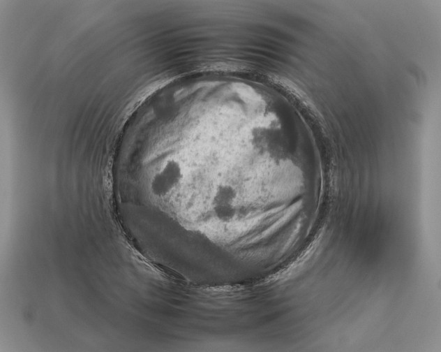 X0000112771025200909101547