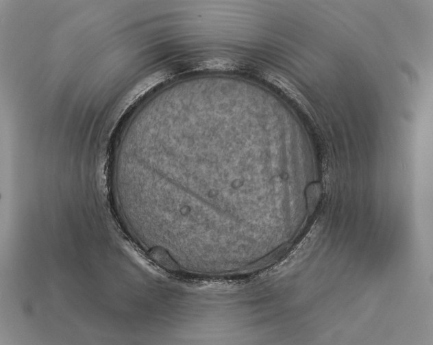 X0000112771026200909101547