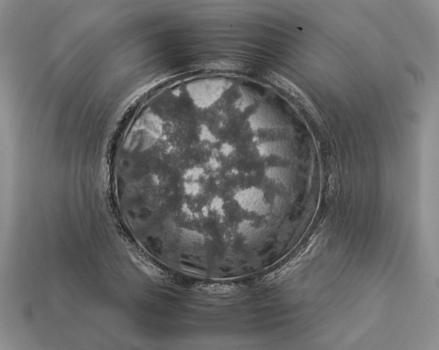 X0000112771027200909101547