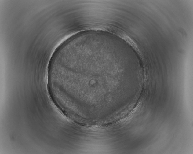 X0000112771028200909101547