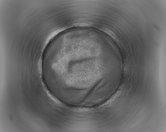 X0000112771030200909101547