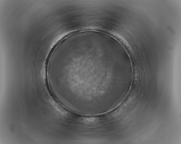 X0000112771031200909101547