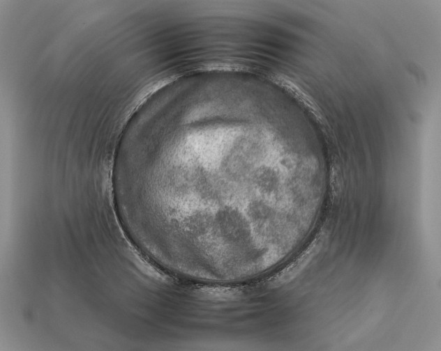 X0000112771033200909101547