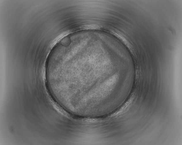 X0000112771034200909101547