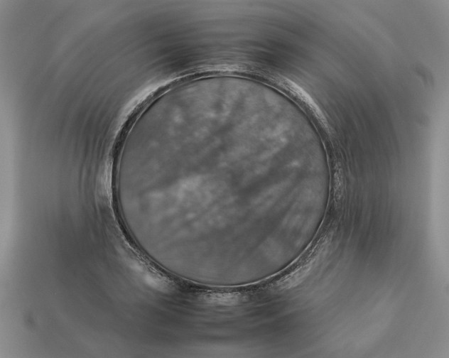 X0000112771035200909101547