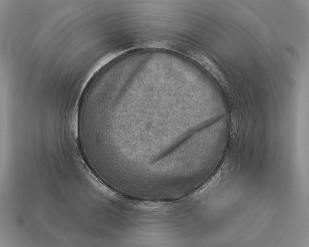 X0000112771036200909101547