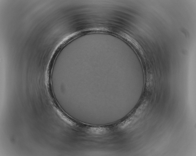 X0000112771037200909101547